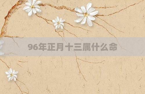 96年正月十三属什么命