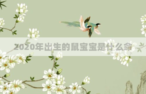 2020年出生的鼠宝宝是什么命