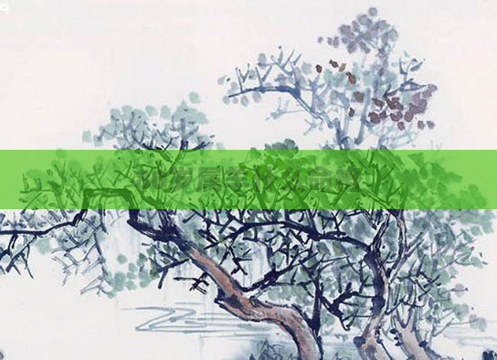 80岁属羊什么命格