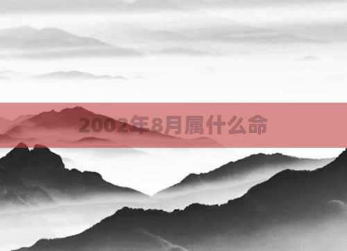 2002年8月属什么命