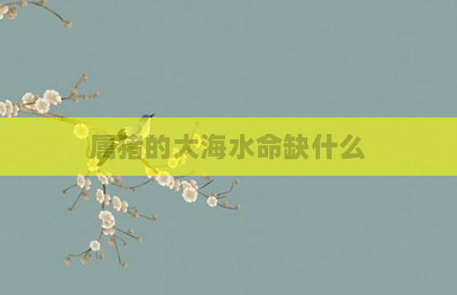 属猪的大海水命缺什么