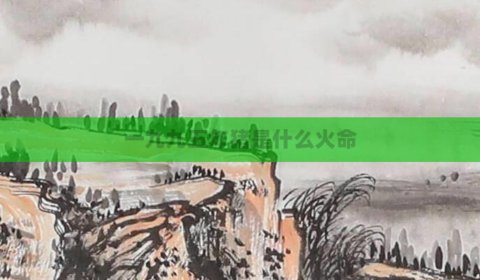 一九九五年猪是什么火命