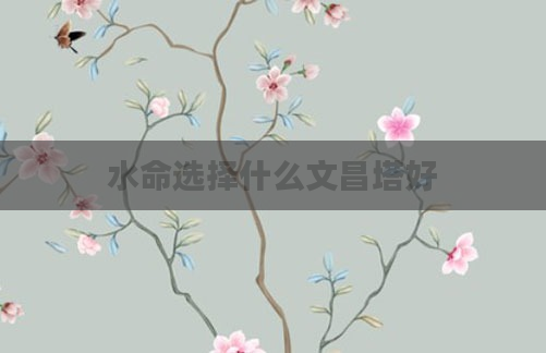 水命选择什么文昌塔好