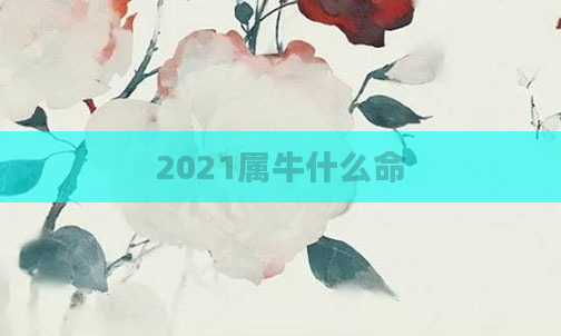 2021属牛什么命