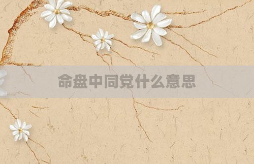 命盘中同党什么意思