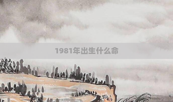 1981年出生什么命
