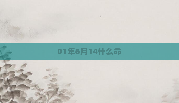 01年6月14什么命