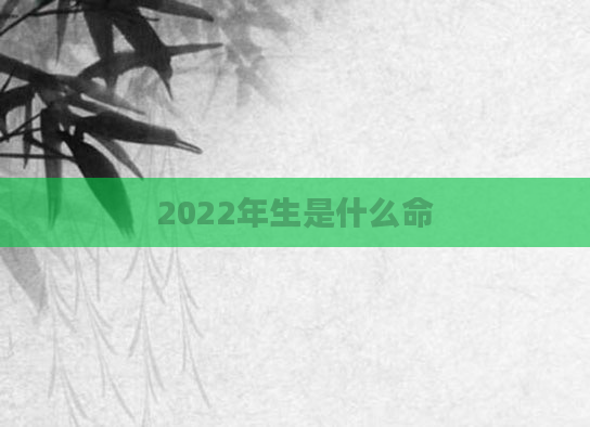 2022年生是什么命