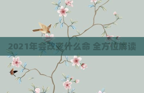 2021年会改变什么命 全方位解读