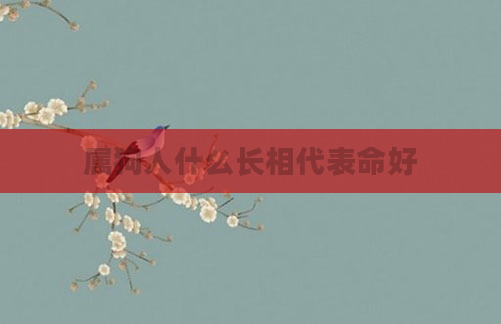 属狗人什么长相代表命好