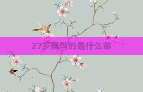 27岁属鸡的是什么命