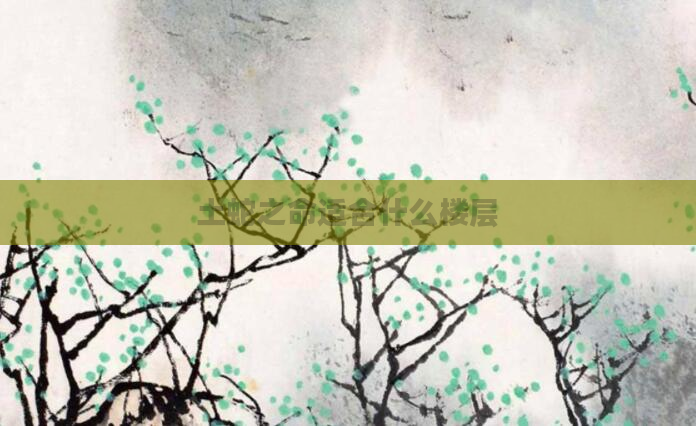 土蛇之命适合什么楼层