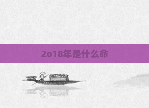 2o18年是什么命
