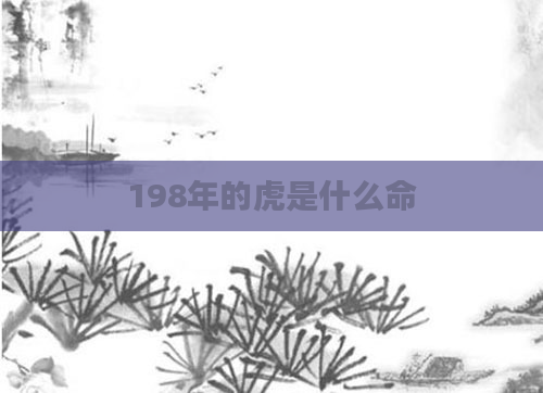 198年的虎是什么命