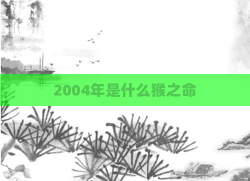 2004年是什么猴之命