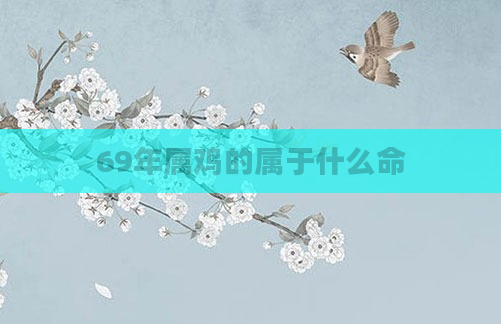 69年属鸡的属于什么命