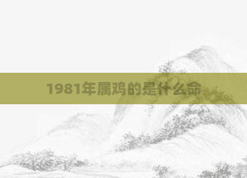 1981年属鸡的是什么命