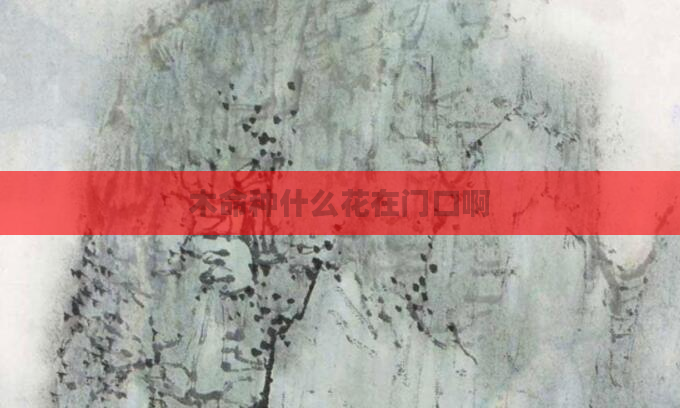 木命种什么花在门口啊