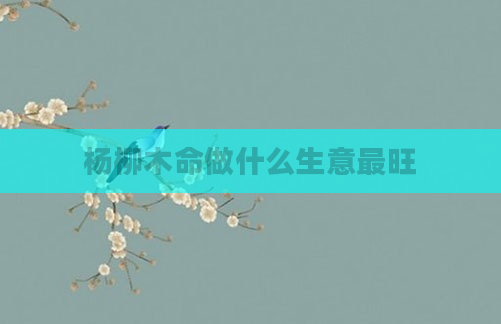 杨柳木命做什么生意最旺