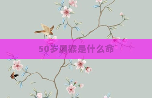 50岁属猴是什么命