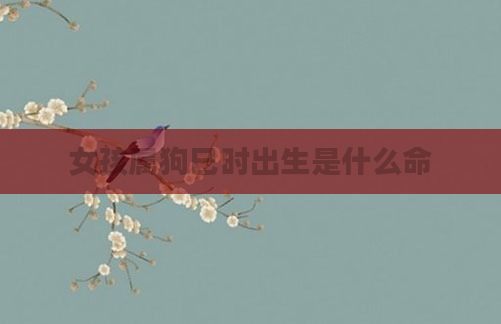 女孩属狗巳时出生是什么命