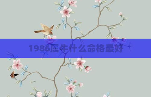 1986属牛什么命格最好