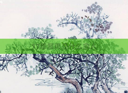 17年属鸡是什么命人