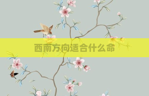 西南方向适合什么命