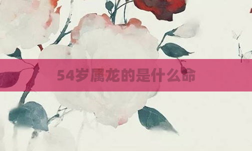 54岁属龙的是什么命