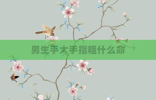 男生手大手指粗什么命