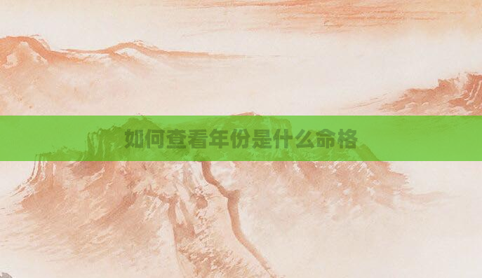 如何查看年份是什么命格