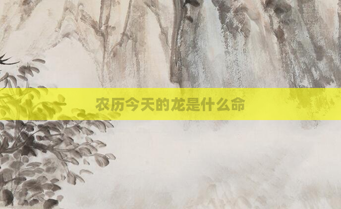农历今天的龙是什么命