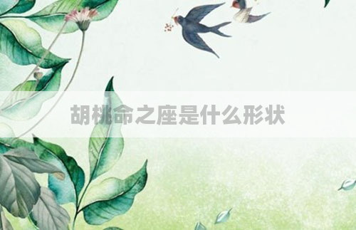 胡桃命之座是什么形状