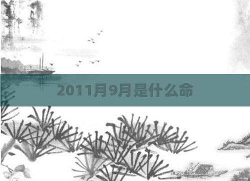 2011月9月是什么命