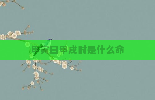 甲寅日甲戌时是什么命