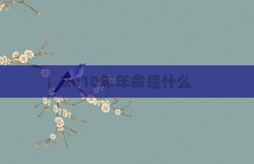 2010年年命是什么