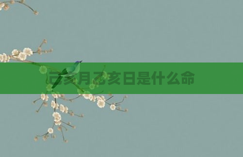 己亥月乙亥日是什么命