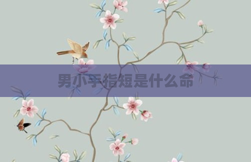 男小手指短是什么命