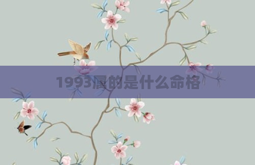 1993属的是什么命格