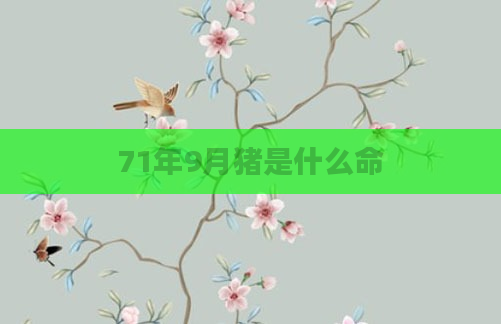 71年9月猪是什么命