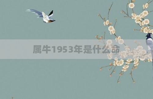 属牛1953年是什么命