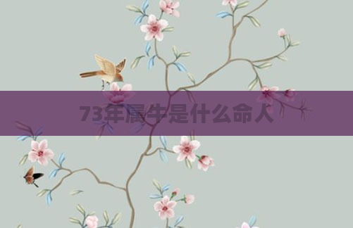 73年属牛是什么命人
