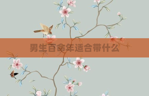 男生百命年适合带什么