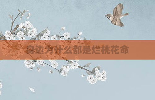 身边为什么都是烂桃花命