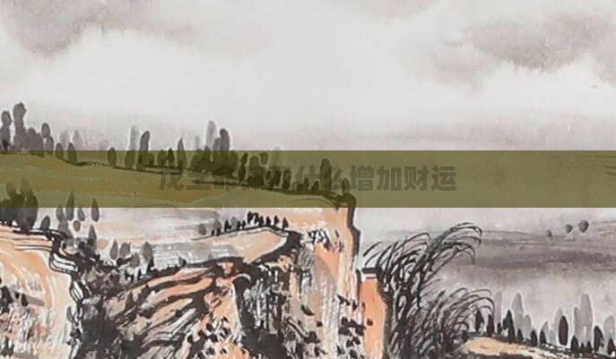 戊土命佩戴什么增加财运