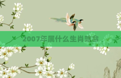 2007年属什么生肖啥命