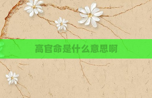 高官命是什么意思啊
