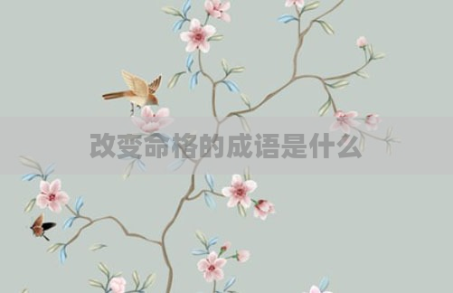 改变命格的成语是什么