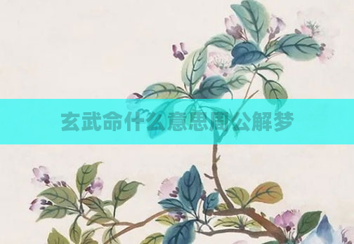 玄武命什么意思周公解梦