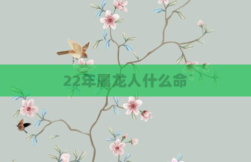 22年属龙人什么命